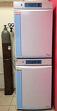 Equipment Photo #2